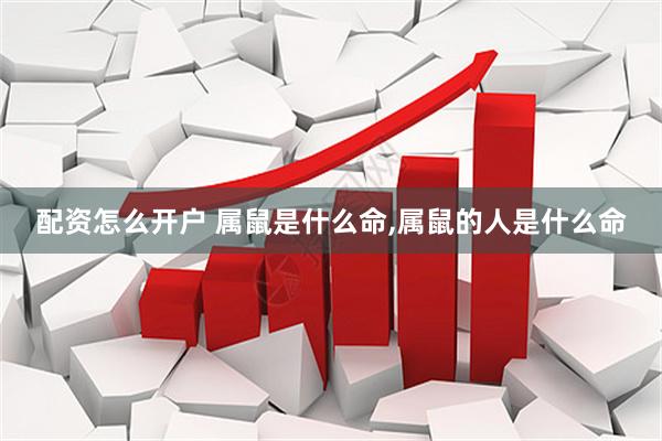 配资怎么开户 属鼠是什么命,属鼠的人是什么命