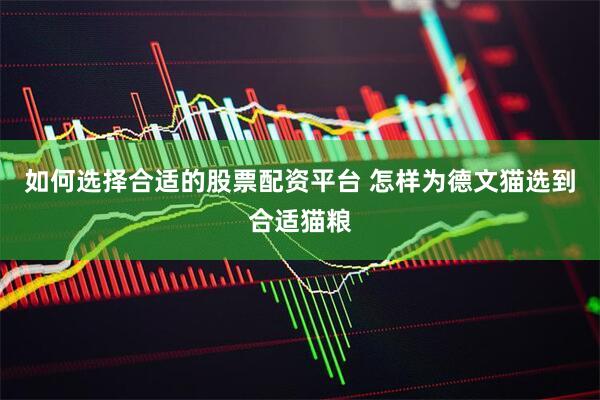 如何选择合适的股票配资平台 怎样为德文猫选到合适猫粮