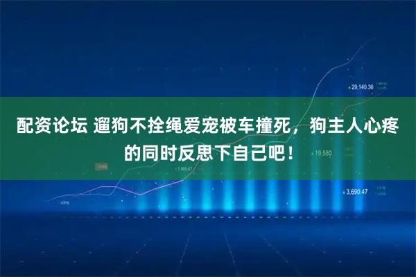 配资论坛 遛狗不拴绳爱宠被车撞死，狗主人心疼的同时反思下自己吧！