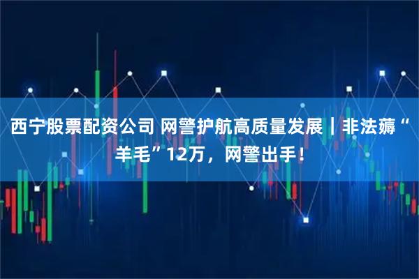 西宁股票配资公司 网警护航高质量发展｜非法薅“羊毛”12万，网警出手！